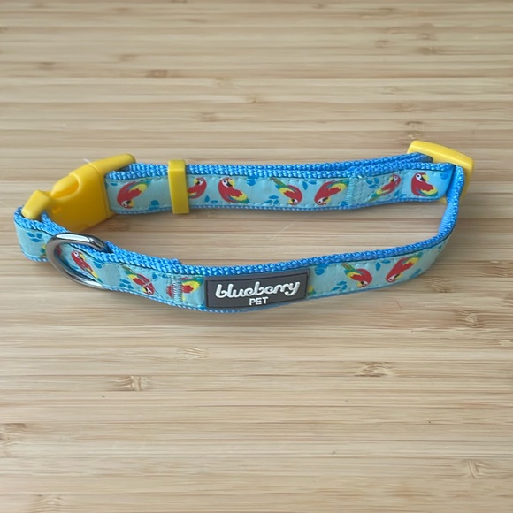 Blueberry Pet Dog Collar 🦜 - Picture 3 of 6